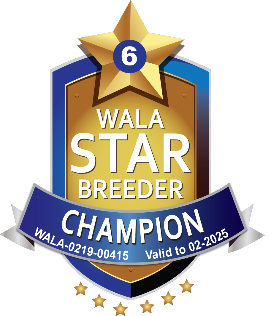 WALA Champion